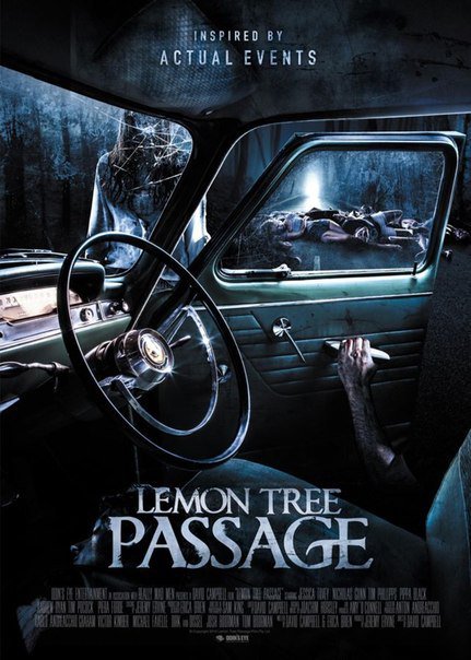 Лемон Три Пасседж / Происшествие на Лимонном шоссе / Lemon Tree Passage (2013)